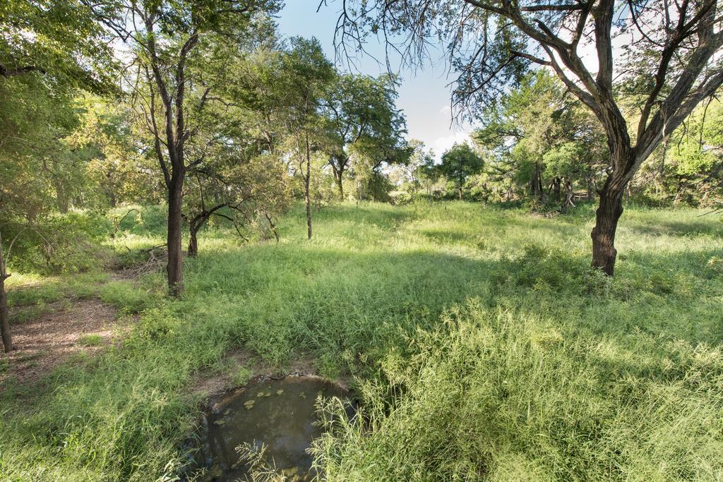 Luxe tent Ndzhaka Tented Camp *