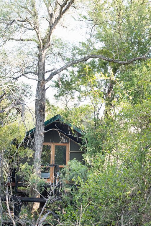 Ndzhaka Tented Camp Luxe tent *
